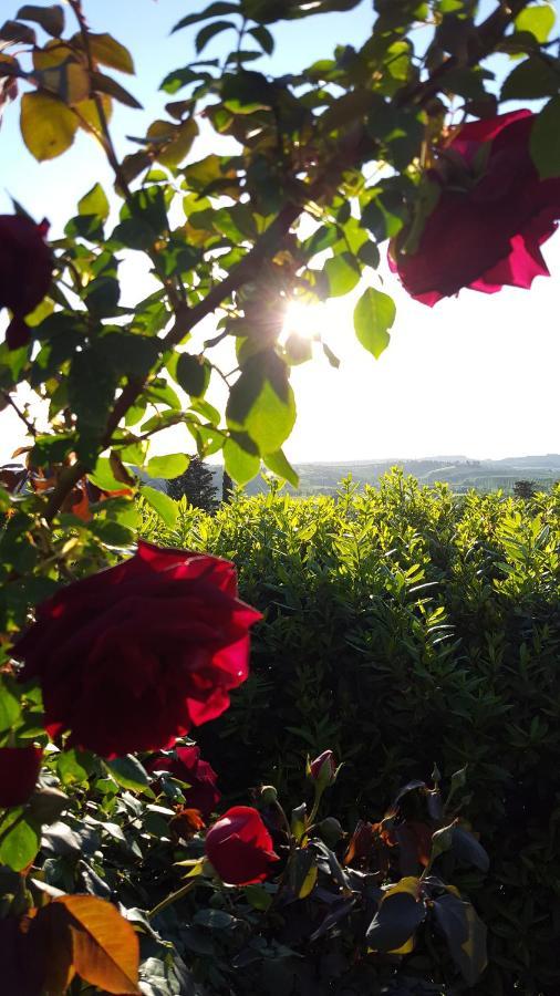 Sunset Hill - Tuscany - Villa & Private Pool Castelfiorentino Exterior photo
